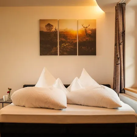 Murr Guest house